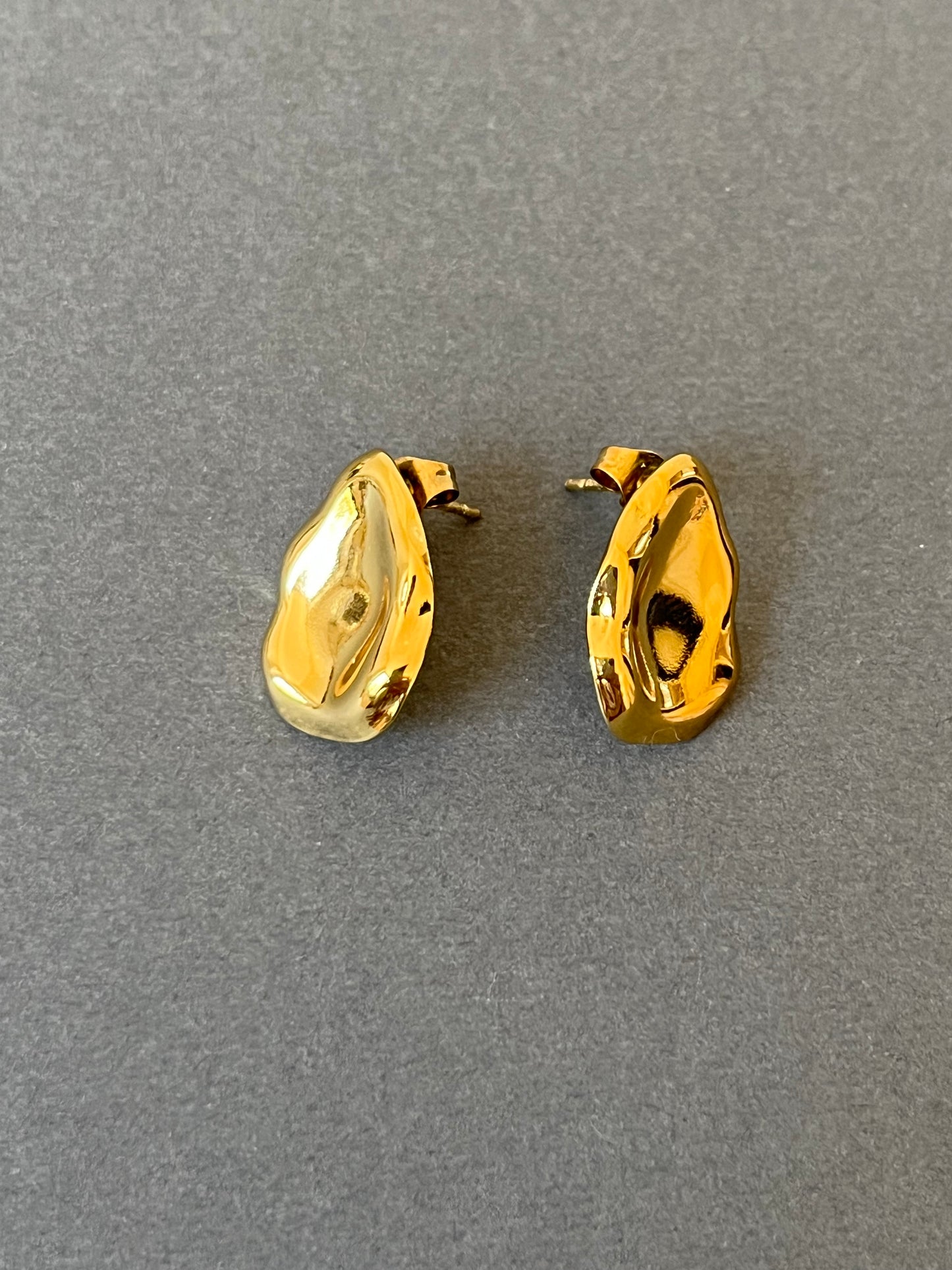 Stainless earrings