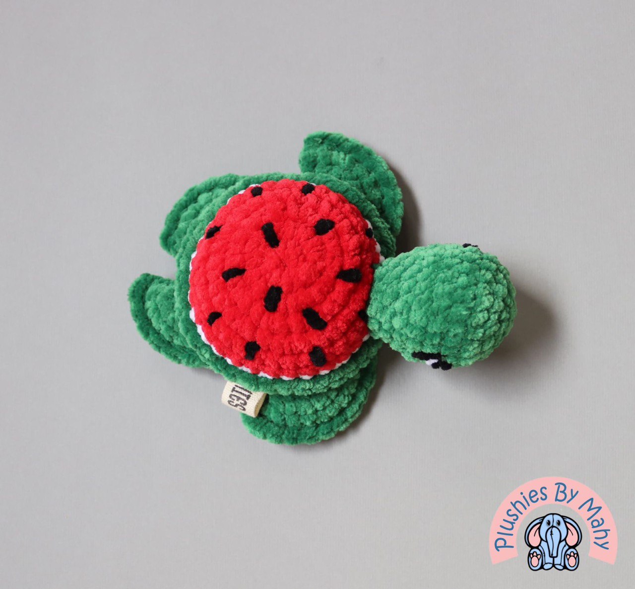 Tikna the watermelon turtle