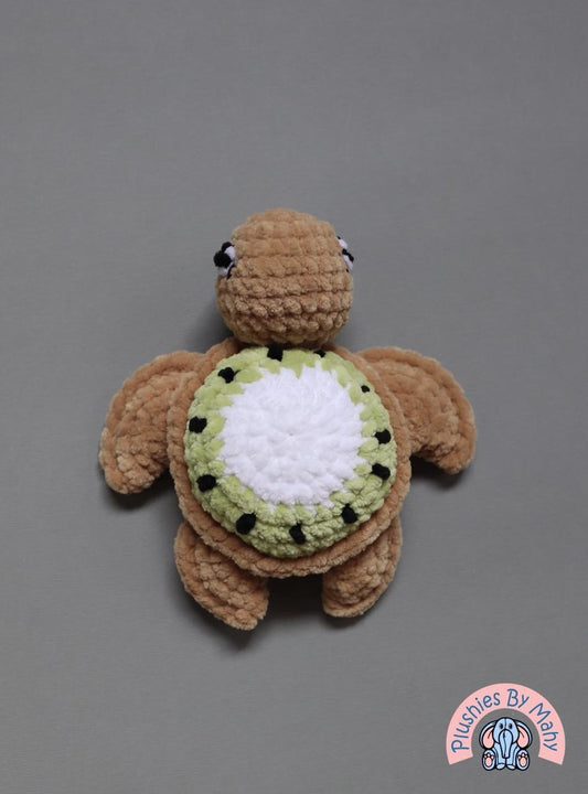 Karl the kiwi turtle