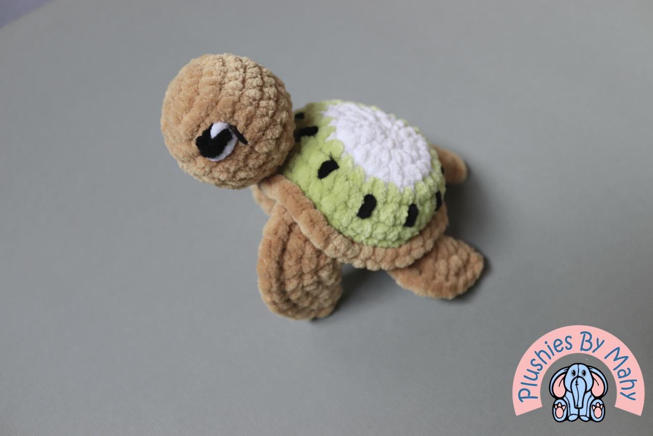 Karl the kiwi turtle
