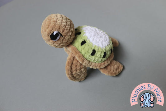 Karl the kiwi turtle